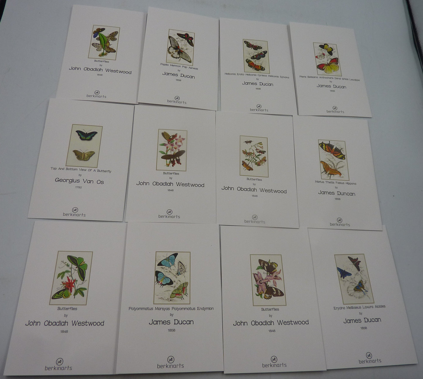 2 X 12PK Berkin Arts Butterfly Cards & Envelopes 6" X 4"