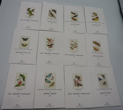 2 X 12PK Berkin Arts Butterfly Cards & Envelopes 6" X 4"