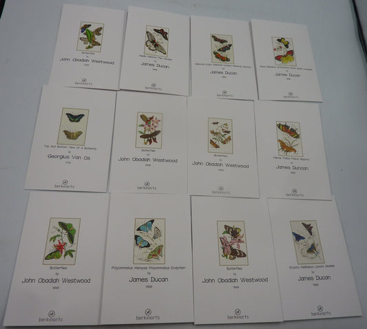 2 X 12PK Berkin Arts Butterfly Cards & Envelopes 6" X 4"