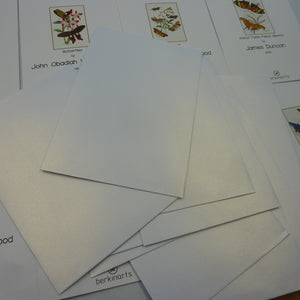 2 X 12PK Berkin Arts Butterfly Cards & Envelopes 6