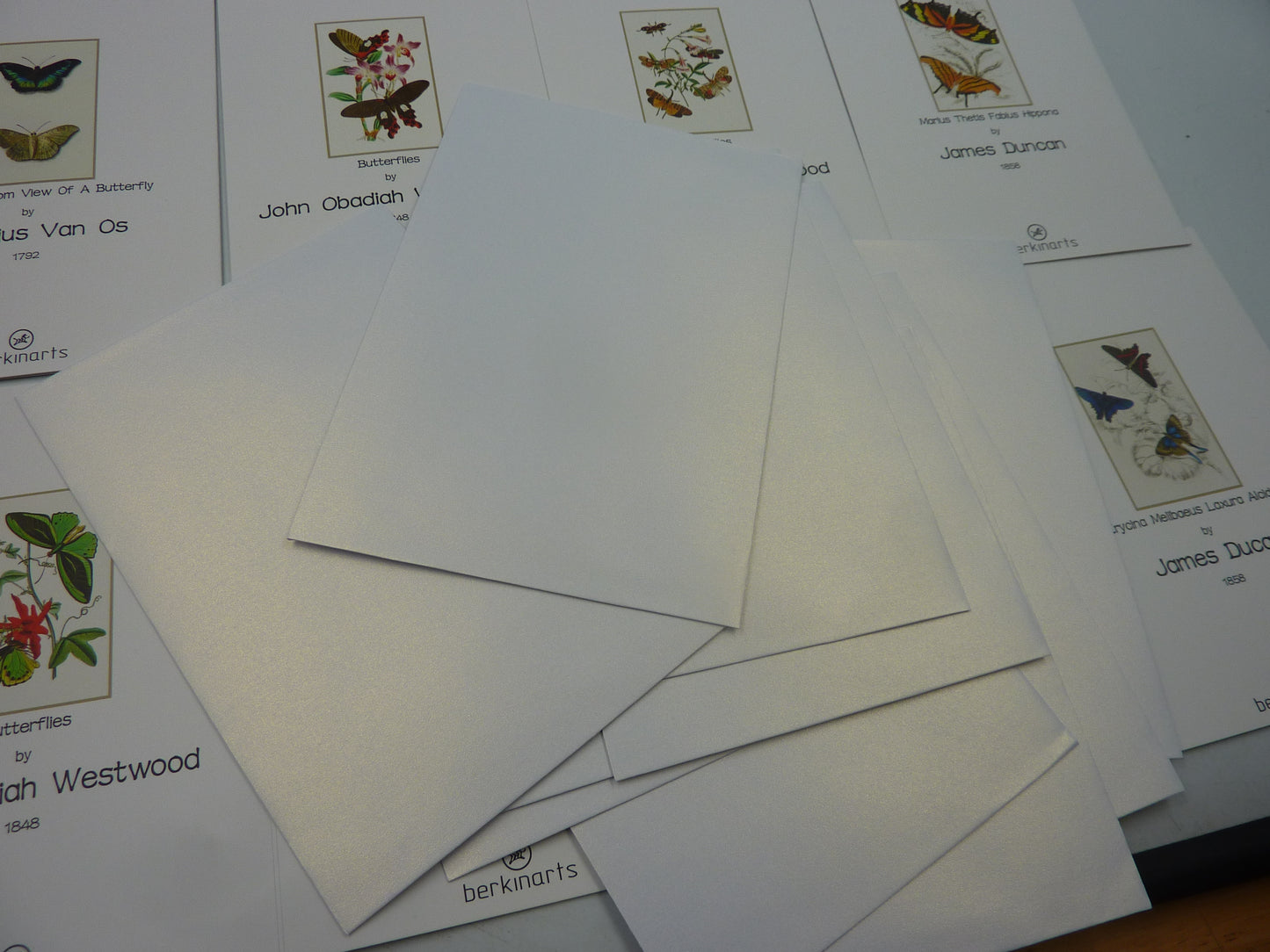 2 X 12PK Berkin Arts Butterfly Cards & Envelopes 6" X 4"