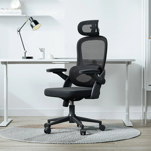 Sihoo M102C Ergonomic Chair
