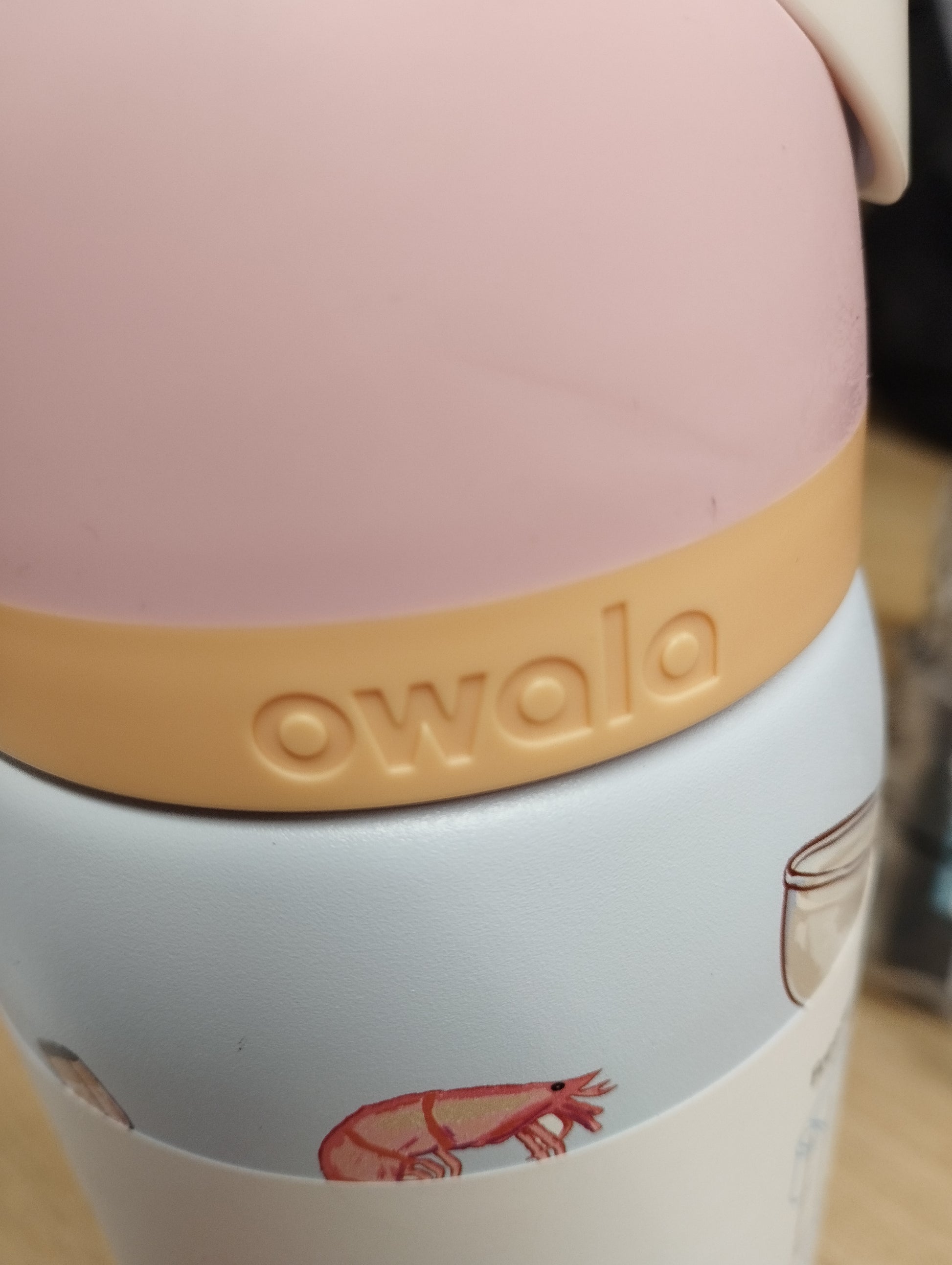 Owala FreeSip Picnic Prep 32oz Urban Outfitters