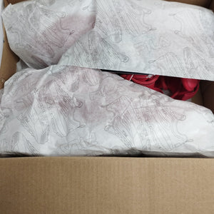 FILA DISRUPTOR 2 PREMIUM LEATHER SNEAKERS RED/WHITE-UK5